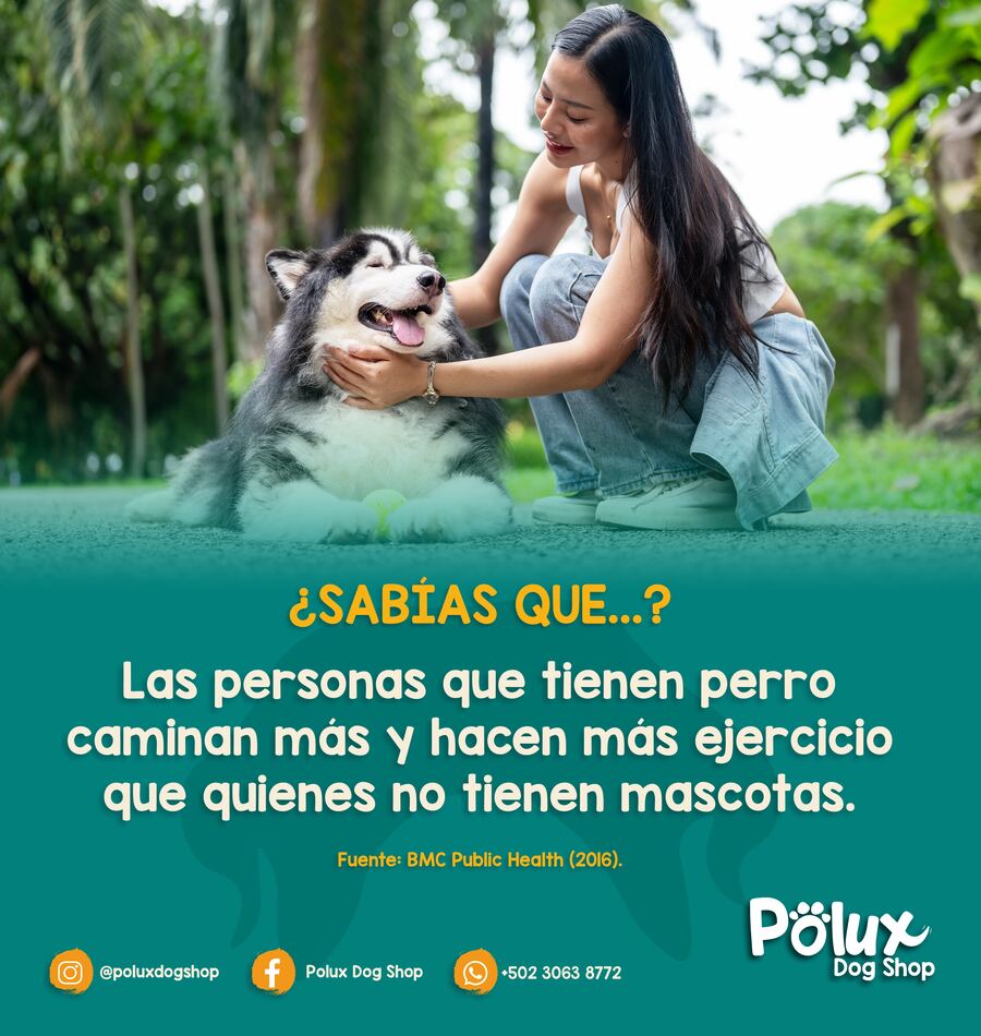 Polux Dog Shop
