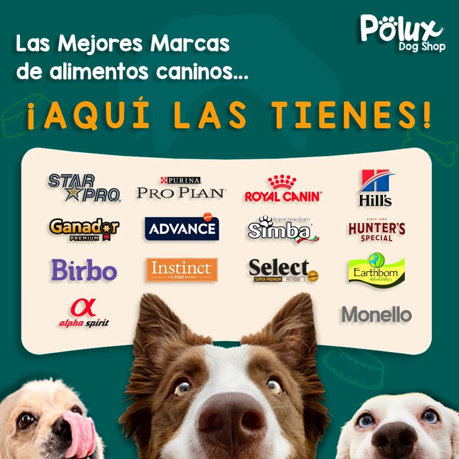 Polux Dog Shop