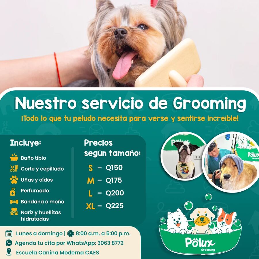 Polux Dog Shop
