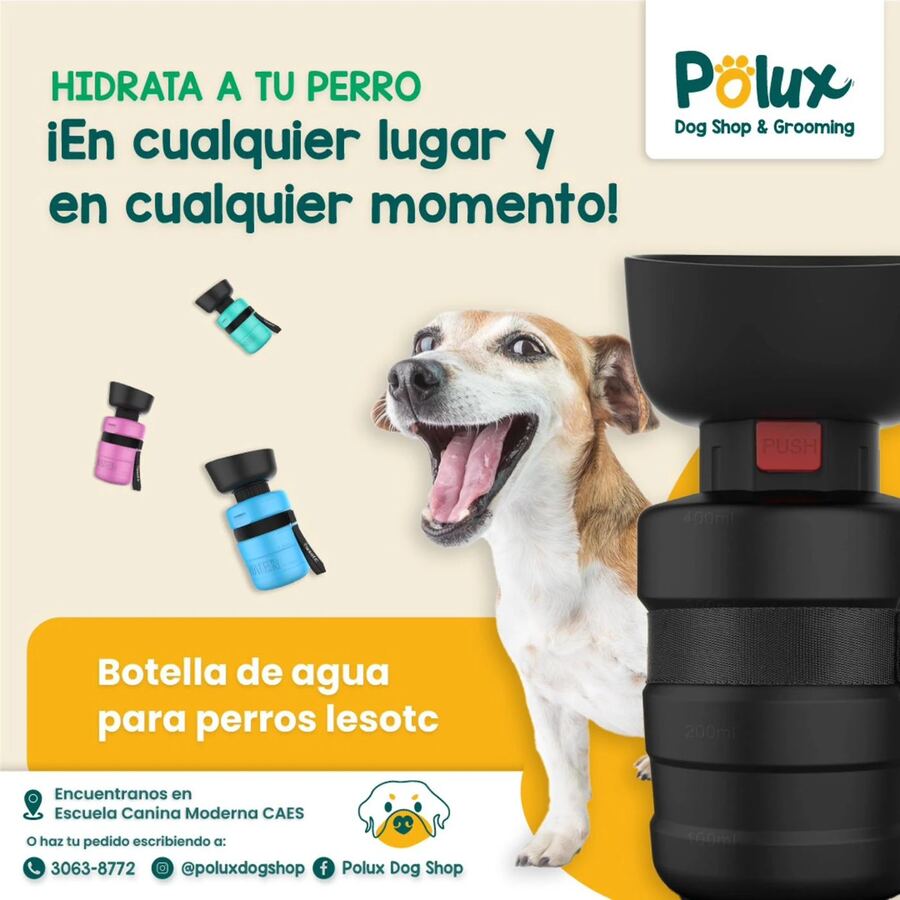 Polux Dog Shop