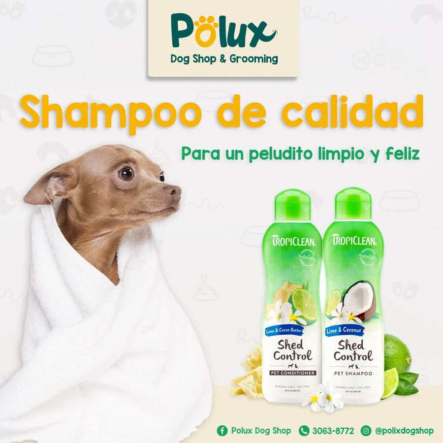 Polux Dog Shop