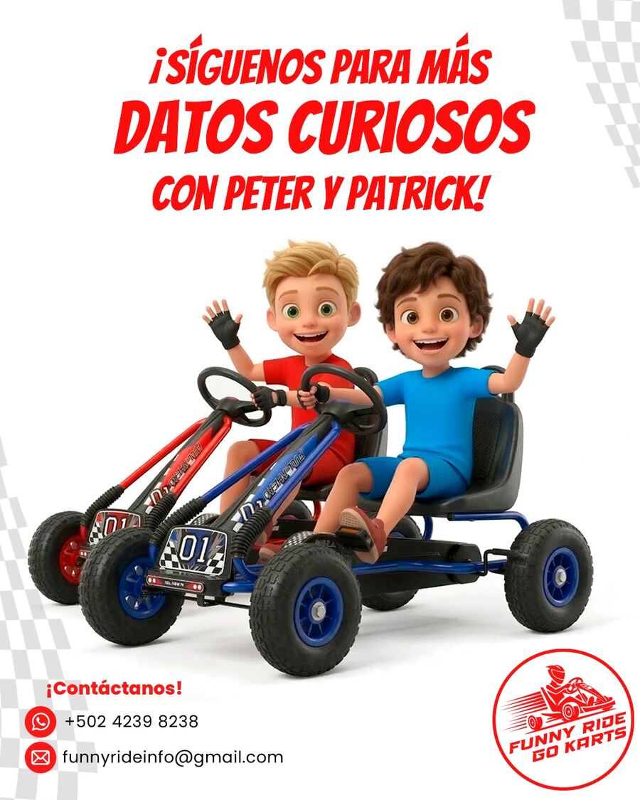 Funny Ride Go Karts