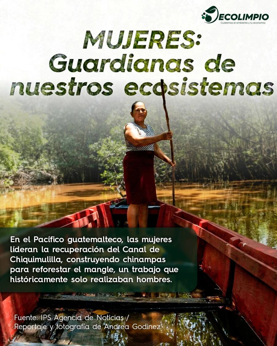 Ecolimpio