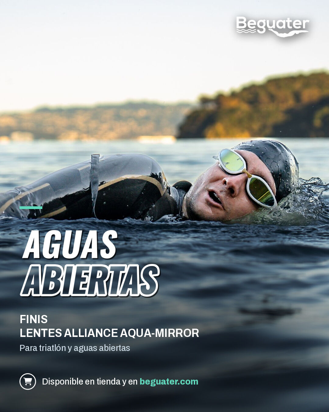 Post Beguater lentes Alliance