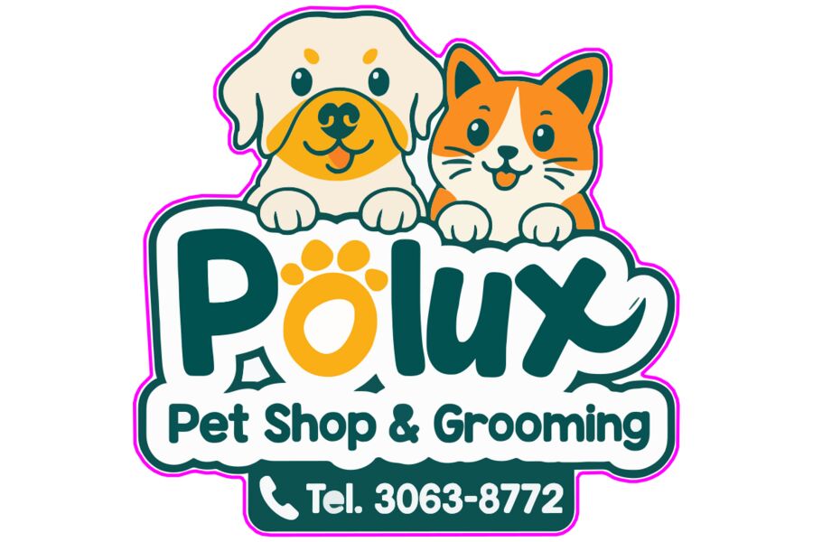 Logo Polux opción A