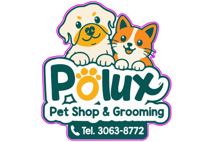 Logo Polux opción B